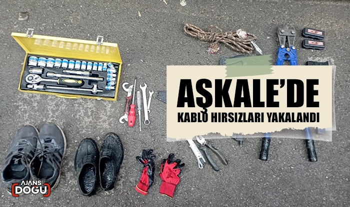 Aşkale’de kablo hırsızları yakalandı