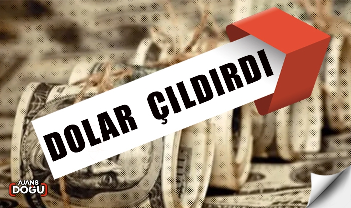 Dolar çıldırdı