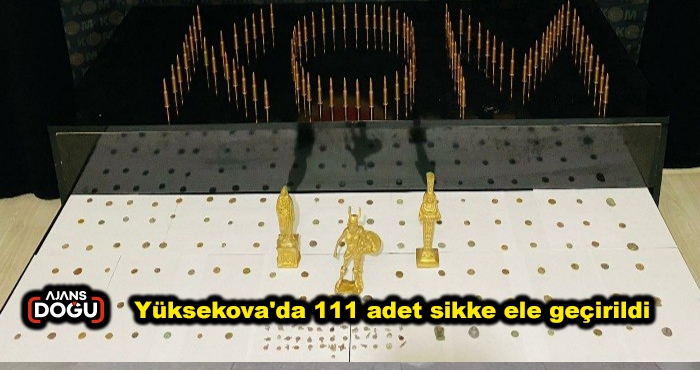 Yüksekova'da 111 adet sikke ele geçirildi