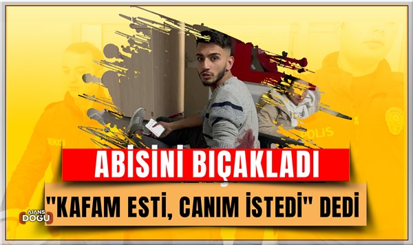 Abisini bıçakladı, Kafam esti, canım istedi dedi