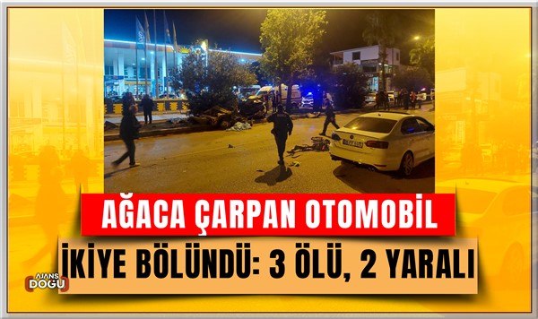 Adana‘da ağaca çarpan otomobil ikiye bölündü: 3 ölü, 2 yaralı