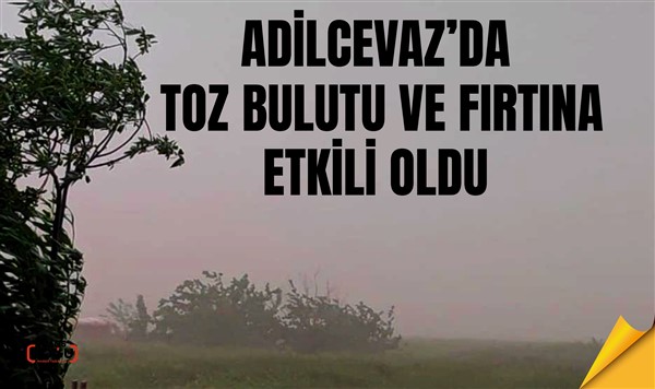Adilcevaz’da toz bulutu ve fırtına etkili oldu