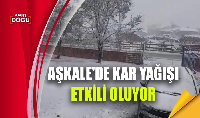 Aşkale'de kar yağışı etkili oluyor