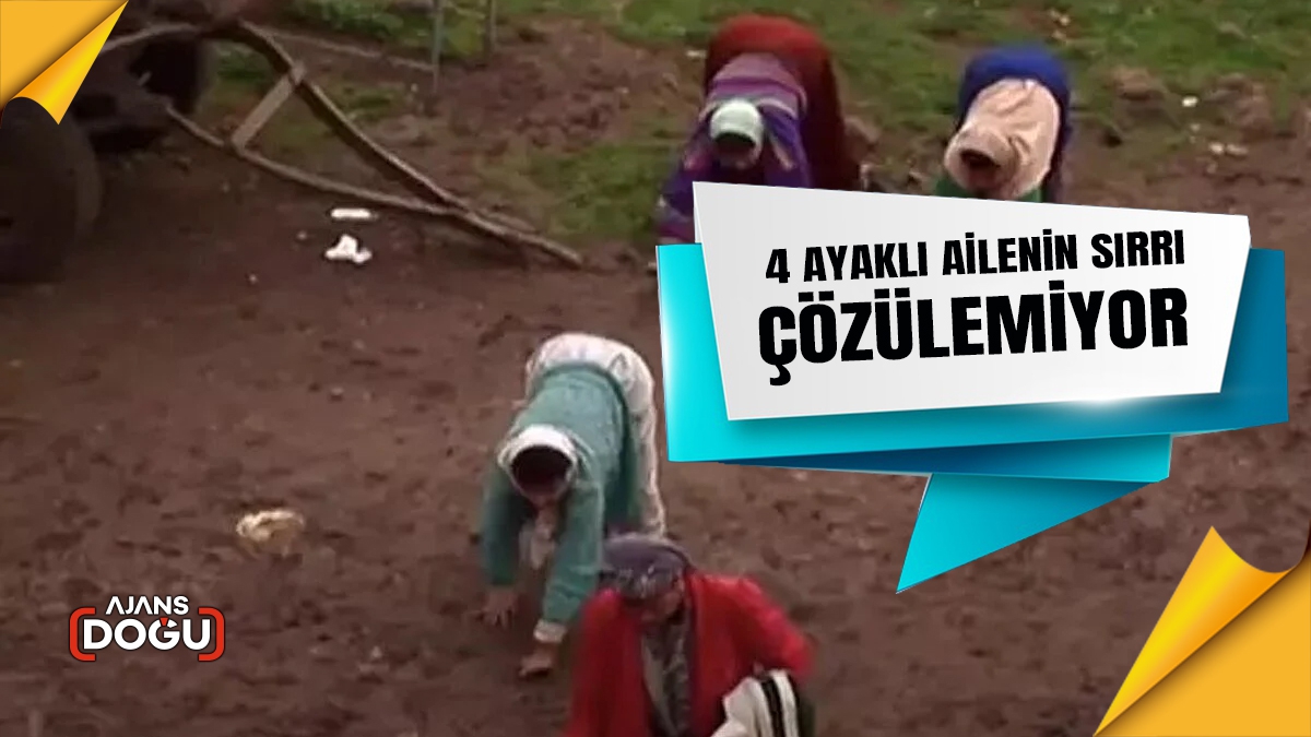 Bilim insanları Hatay’a akın etti! 4 ayaklı ailenin sırrı çözülemiyor