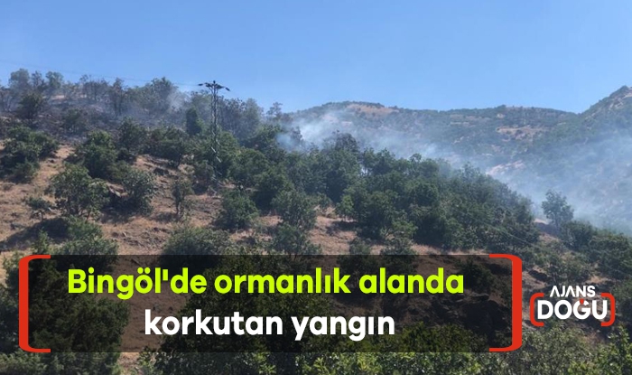 Bingöl'de ormanlık alanda korkutan yangın