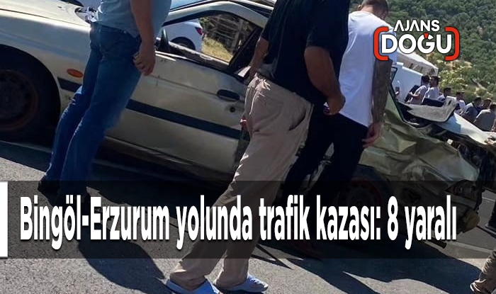 Bingöl-Erzurum yolunda trafik kazası: 8 yaralı