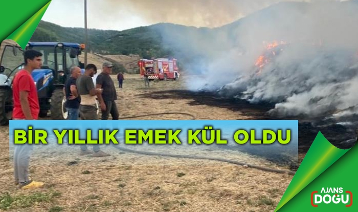 Bir yıllık emek kül oldu