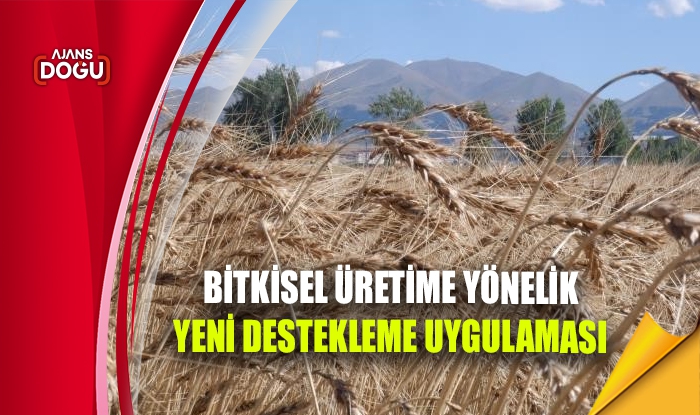 Bitkisel üretime yönelik yeni destekleme uygulaması