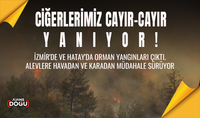 Ciğerlerimiz yanıyor!