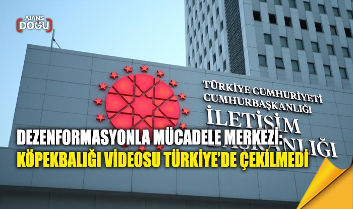 Dezenformasyonla Mücadele Merkezi: Köpekbalığı videosu Türkiye’de çekilmedi