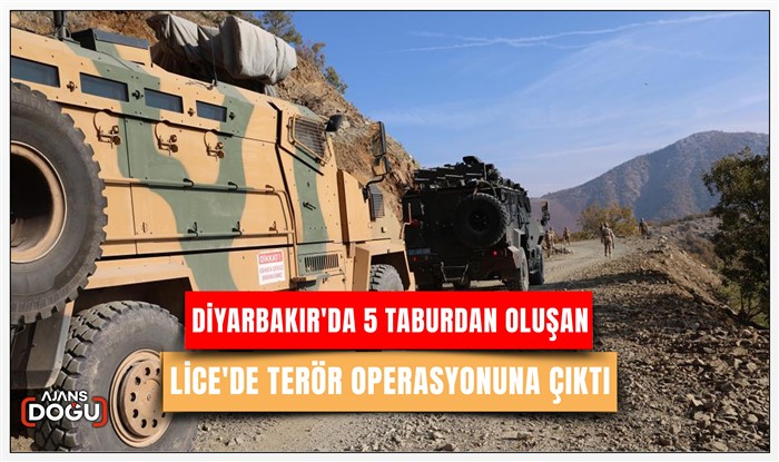 Diyarbakır'da 5 taburdan oluşan timler Lice'de terör operasyonuna çıktı