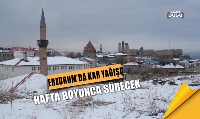 Erzurum'da kar yağışı hafta boyunca sürecek