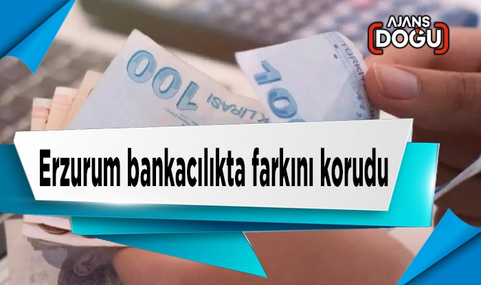 Erzurum bankacılıkta farkını korudu