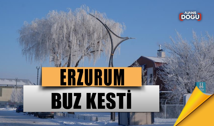 Erzurum buz kesti