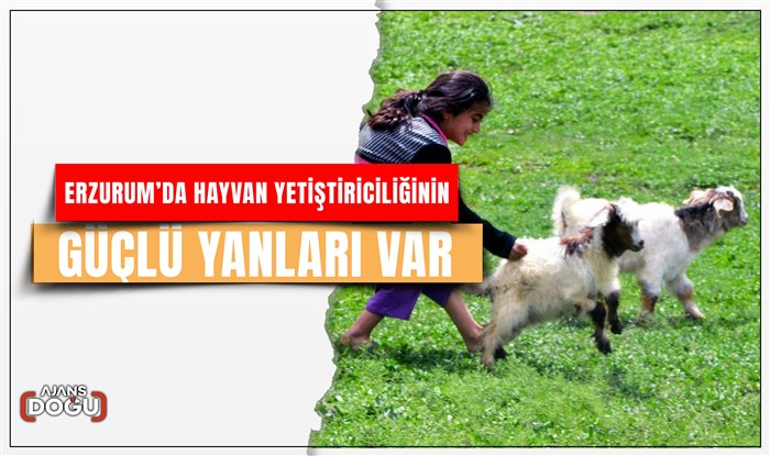 Erzurum’da hayvan yetiştiriciliğinin güçlü yanları var