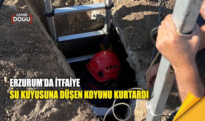 Erzurum’da itfaiye su kuyusuna düşen koyunu kurtardı
