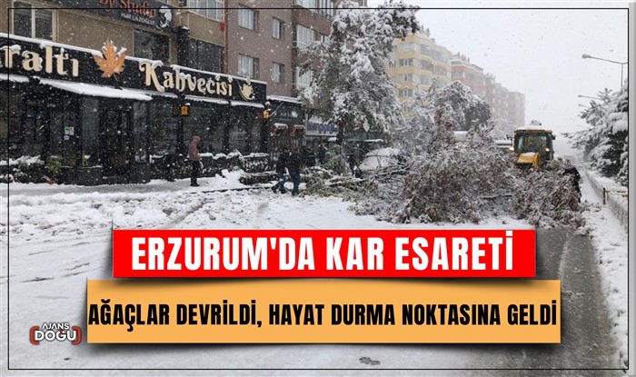 Erzurum'da kar esareti