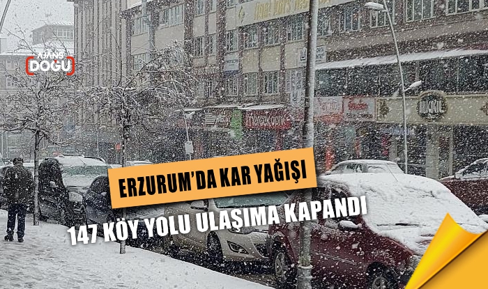 Erzurum'da kar yağışı, 147 köy yolu ulaşıma kapandı
