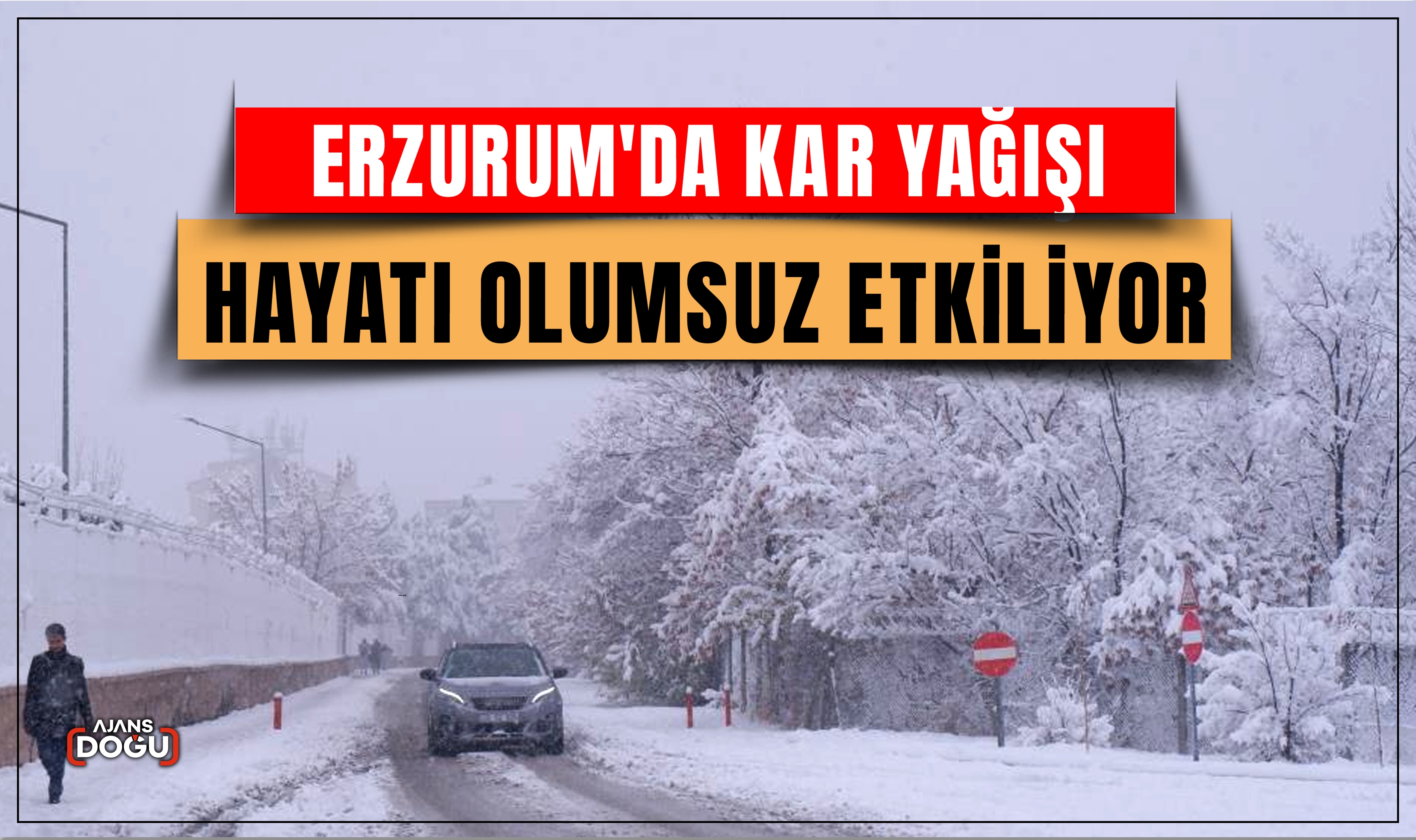 Erzurum'da kar yağışı hayatı olumsuz etkiliyor