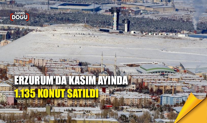 Erzurum'da Kasım ayında 1.135 konut satıldı