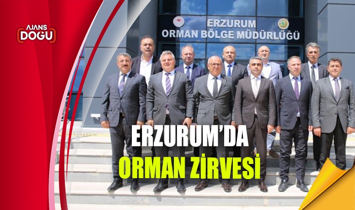 Erzurum’da orman zirvesi