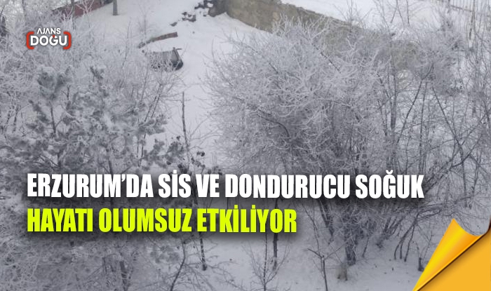 Erzurum’da sis ve dondurucu soğuk hayatı olumsuz etkiledi