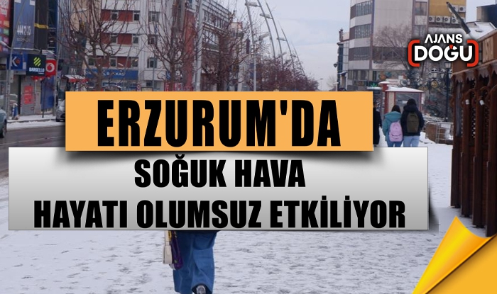 Erzurum'da soğuk hava hayatı olumsuz etkiliyor
