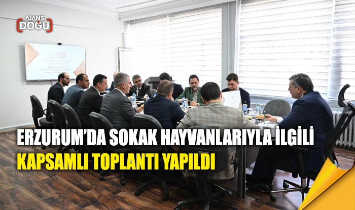 Erzurum’da sokak hayvanlarıyla ilgili kapsamlı toplantı yapıldı
