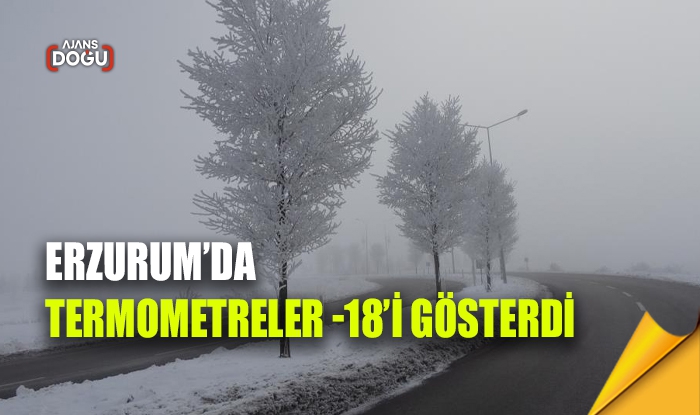 Erzurum’da termometreler -18’i gösterdi
