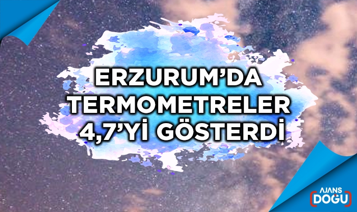 Erzurum’da termometreler 4,7’yi gösterdi