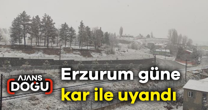 Erzurum güne kar ile uyandı