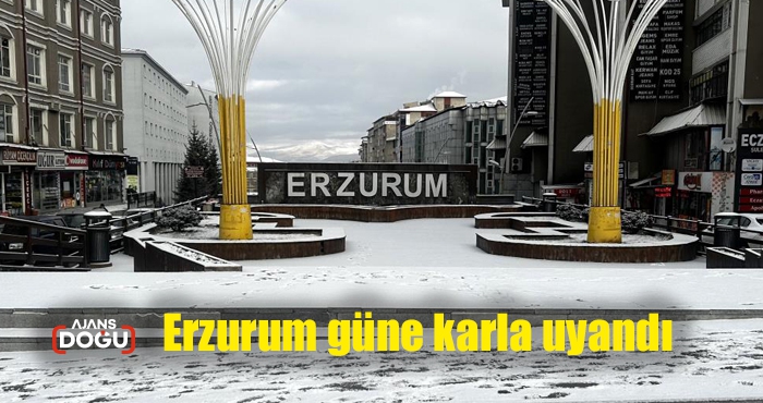 Erzurum güne karla uyandı
