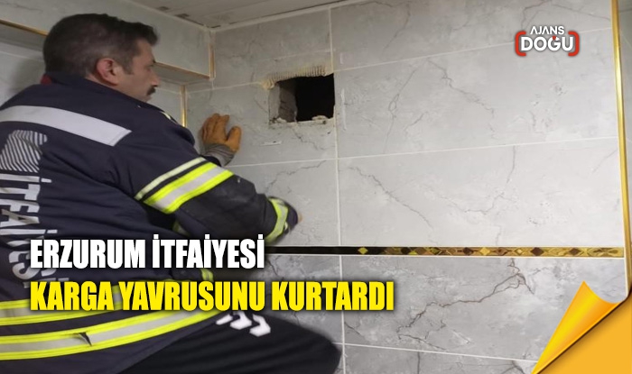 Erzurum itfaiyesi karga yavrusunu kurtardı