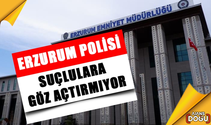 Erzurum polisi suçlulara göz açtırmıyor