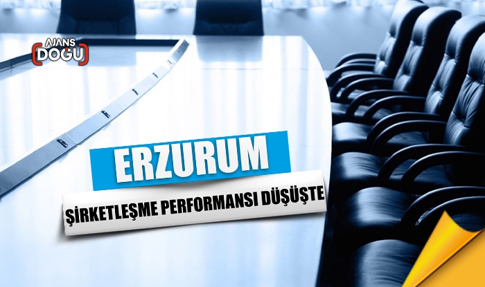 Erzurum şirketleşme performansı düşüşte