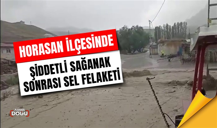 Erzurum'un Horasan ilçesinde şiddetli sağanak sonrası sel felaketi