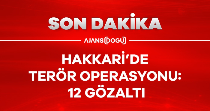 Hakkari’de terör operasyonu: 12 gözaltı