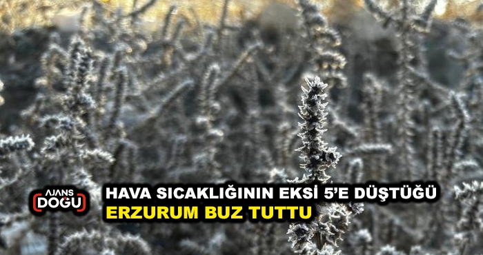 Hava sıcaklığının eksi 5’e düştüğü Erzurum buz tuttu