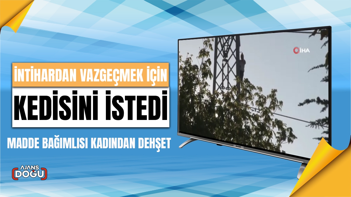 İntihardan vazgeçmek için kedisini istedi