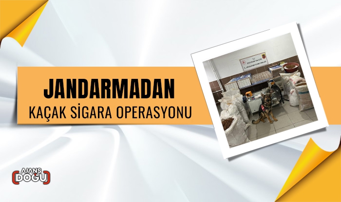 Jandarmadan kaçak sigara operasyonu