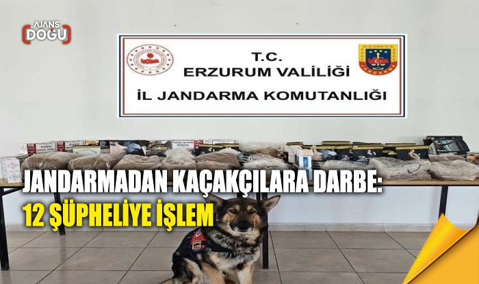 Jandarmadan kaçakçılara darbe: 12 şüpheliye işlem