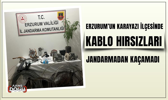 Kablo hırsızları jandarmadan kaçamadı