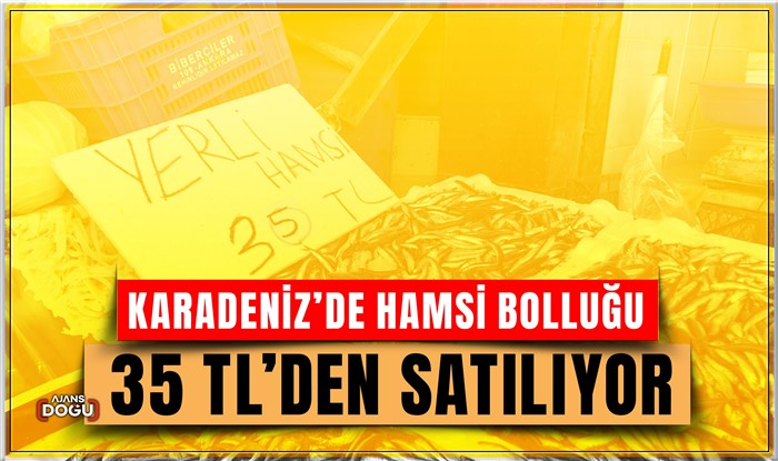 Karadeniz’de hamsi bolluğu sürüyor