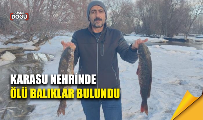 Karasu nehrinde ölü balıklar bulundu
