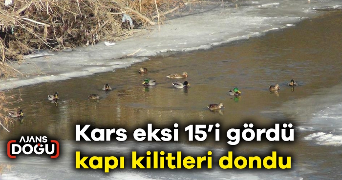 Kars eksi 15’i gördü, kapı kilitleri dondu