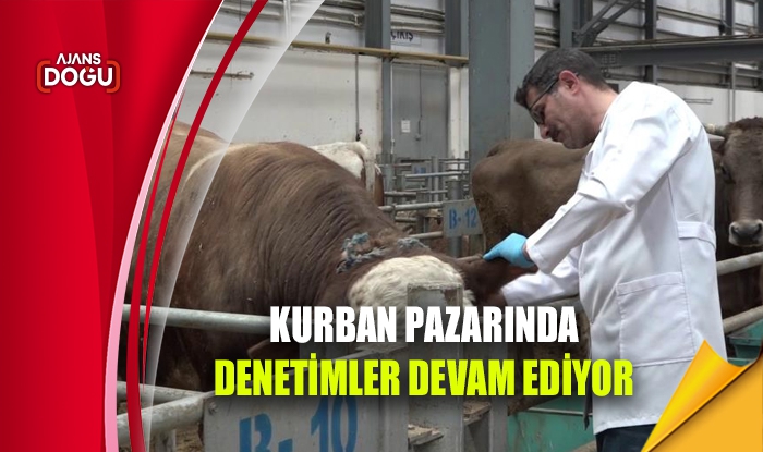 Kurban pazarında denetimler devam ediyor