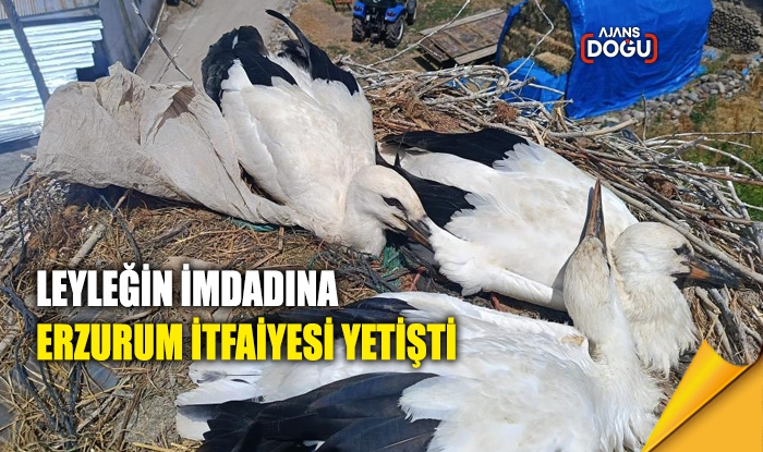 Leyleğin imdadına Erzurum itfaiyesi yetişti