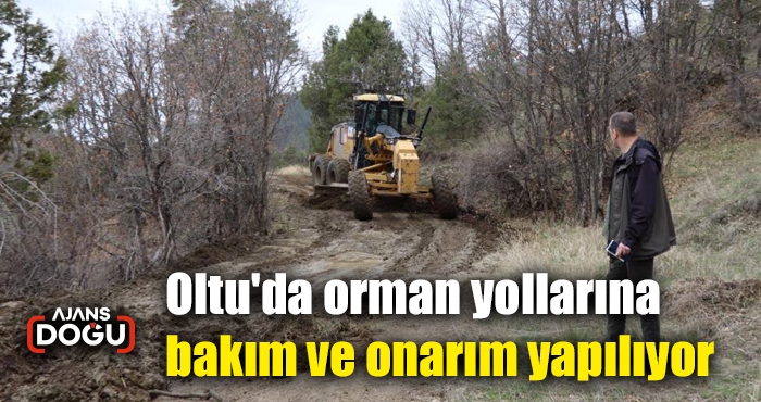 Oltu'da orman yollarına bakım ve onarım yapılıyor