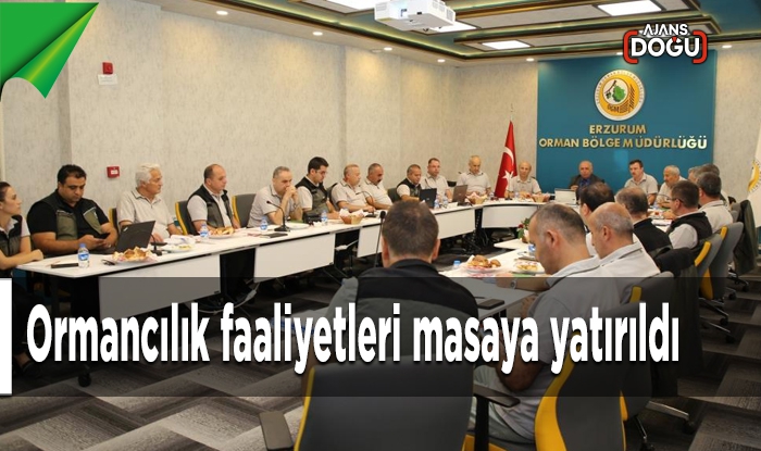 Ormancılık faaliyetleri masaya yatırıldı