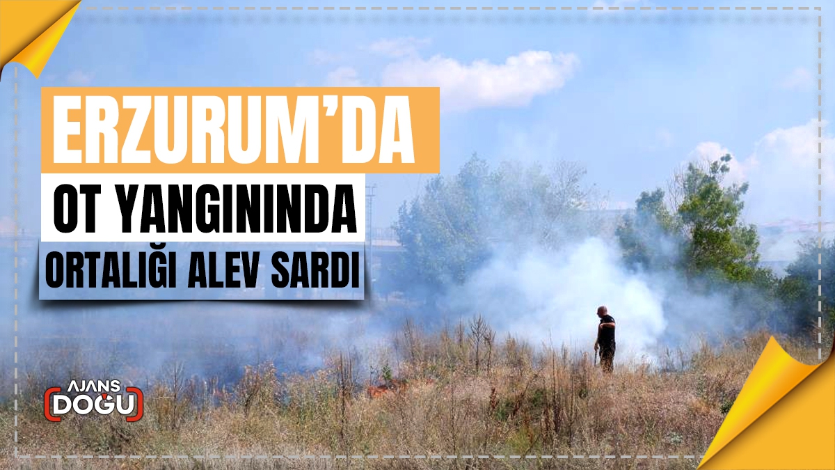 Ot yangınında ortalığı alev sardı